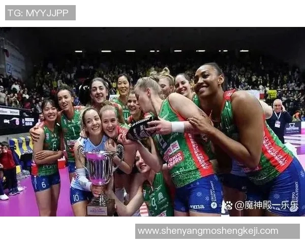 杭州排球队的崛起与发展：探索排球运动的力量与魅力