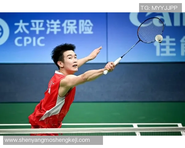 权威发布羽毛球技术实力榜单揭示顶尖选手风采与发展潜力