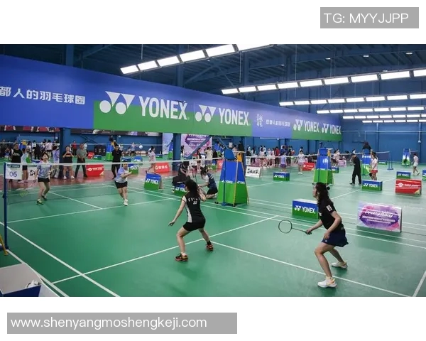 成都羽毛球队运营分析：成功经验与面临挑战的深度剖析