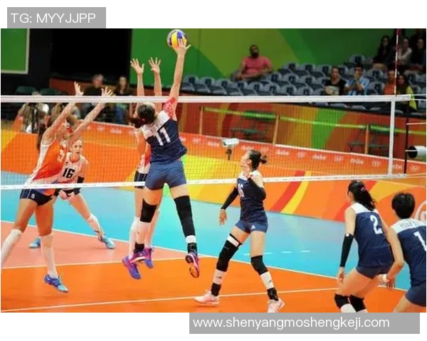 王静谈排球生涯：从青涩少女到辉煌冠军的心路历程