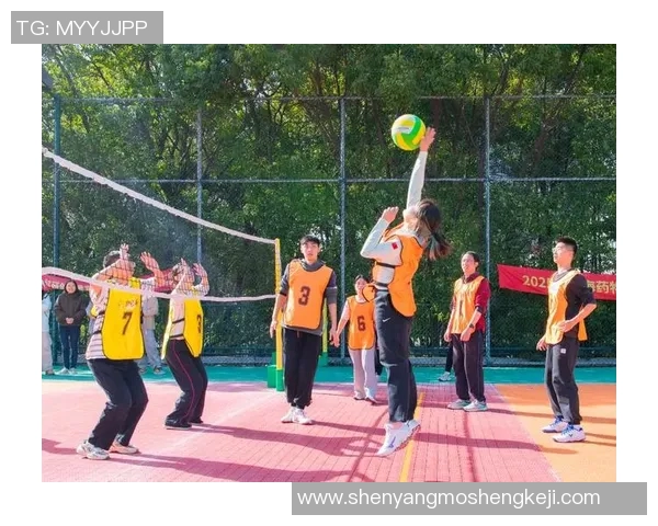 上海排球队在城市联赛中的团队协作表现分析与点评